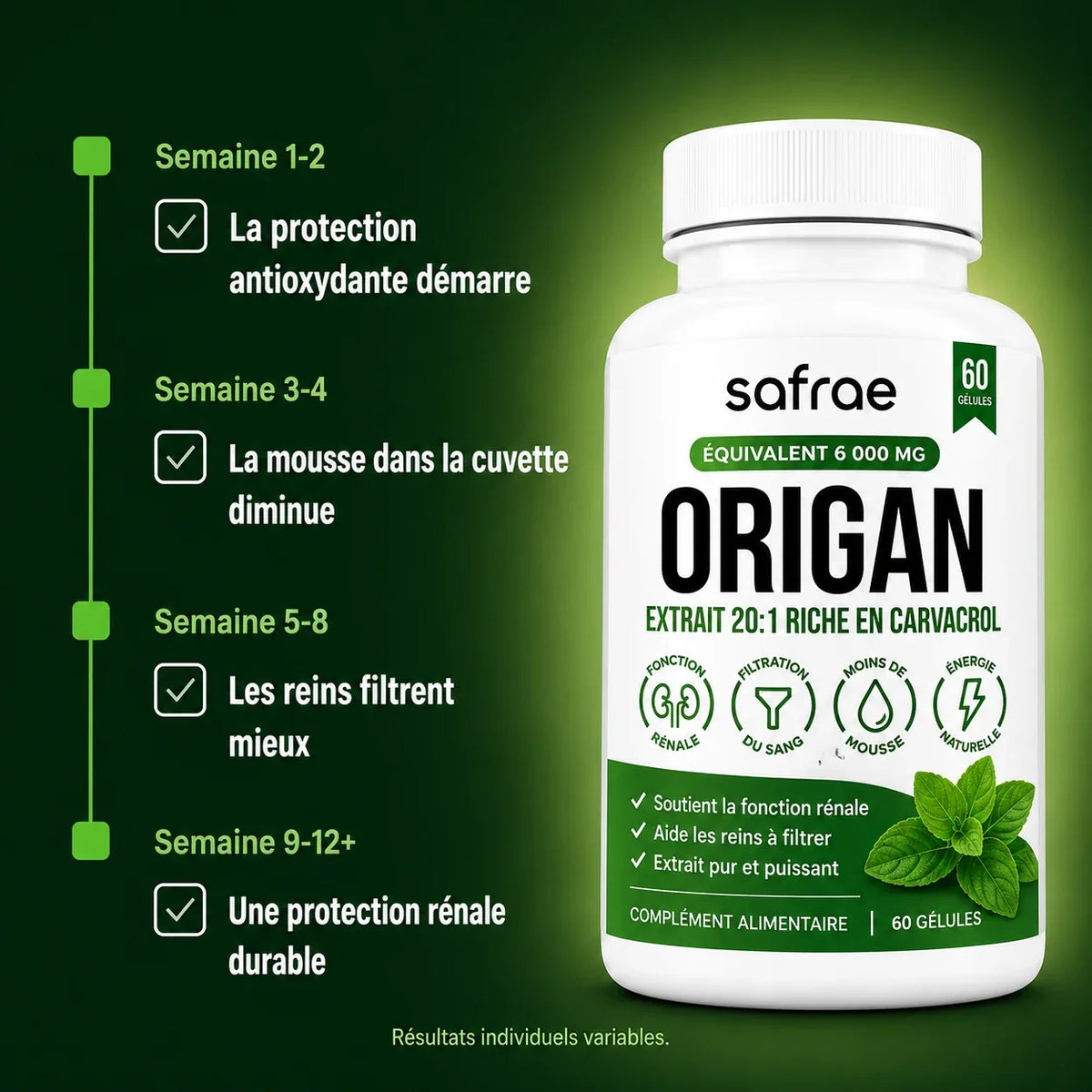 Semaine apres semaine, ce qui se passe pour vos reins
