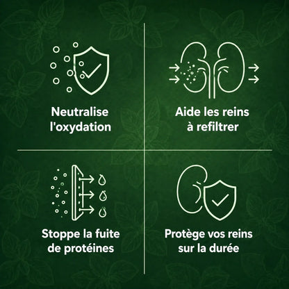Les benefices de l'huile d'origan pour la fonction renale